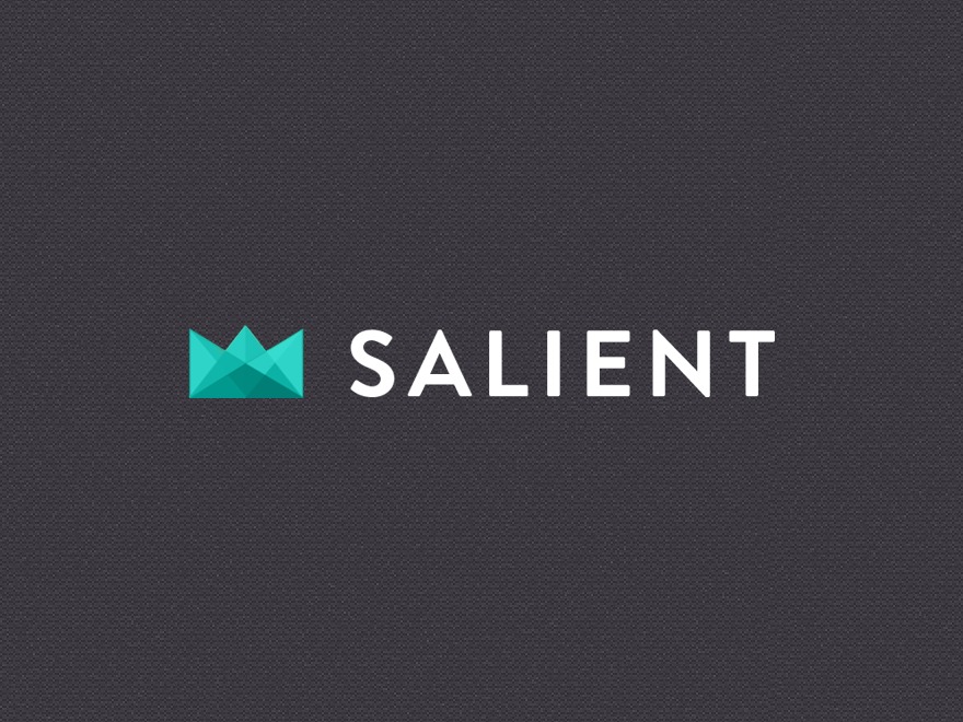 Salient wp theme Salient wp theme